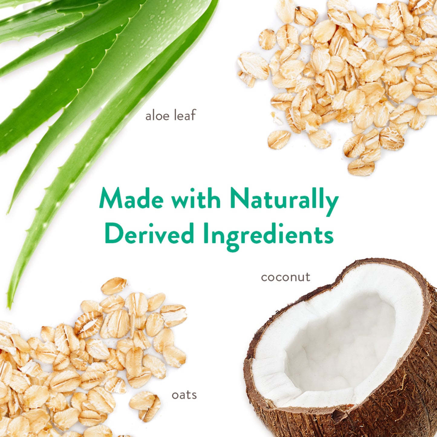 TROPICLEAN GENTLE COCONUT HYPOALLERGENIC SHAMPOO