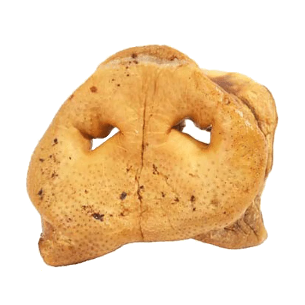 Red Barn Pig Snouts Dog