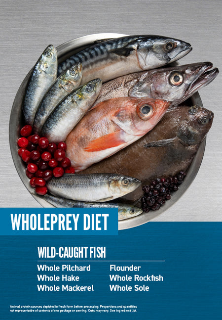 ORIJEN SIX FISH CAT DRY FOOD