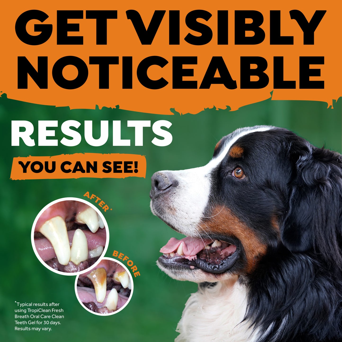 TROPICLEAN FRESH BREATH TRIPLEFLEX TOOTHBRUSH FOR LARGE DOGS