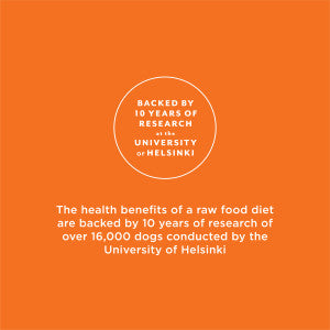 INSTINCT® DOG FOOD RAW LONGEVITY 100% FREEZE-DRIED RAW MEALS GRASS-FED LAMB RECIPE