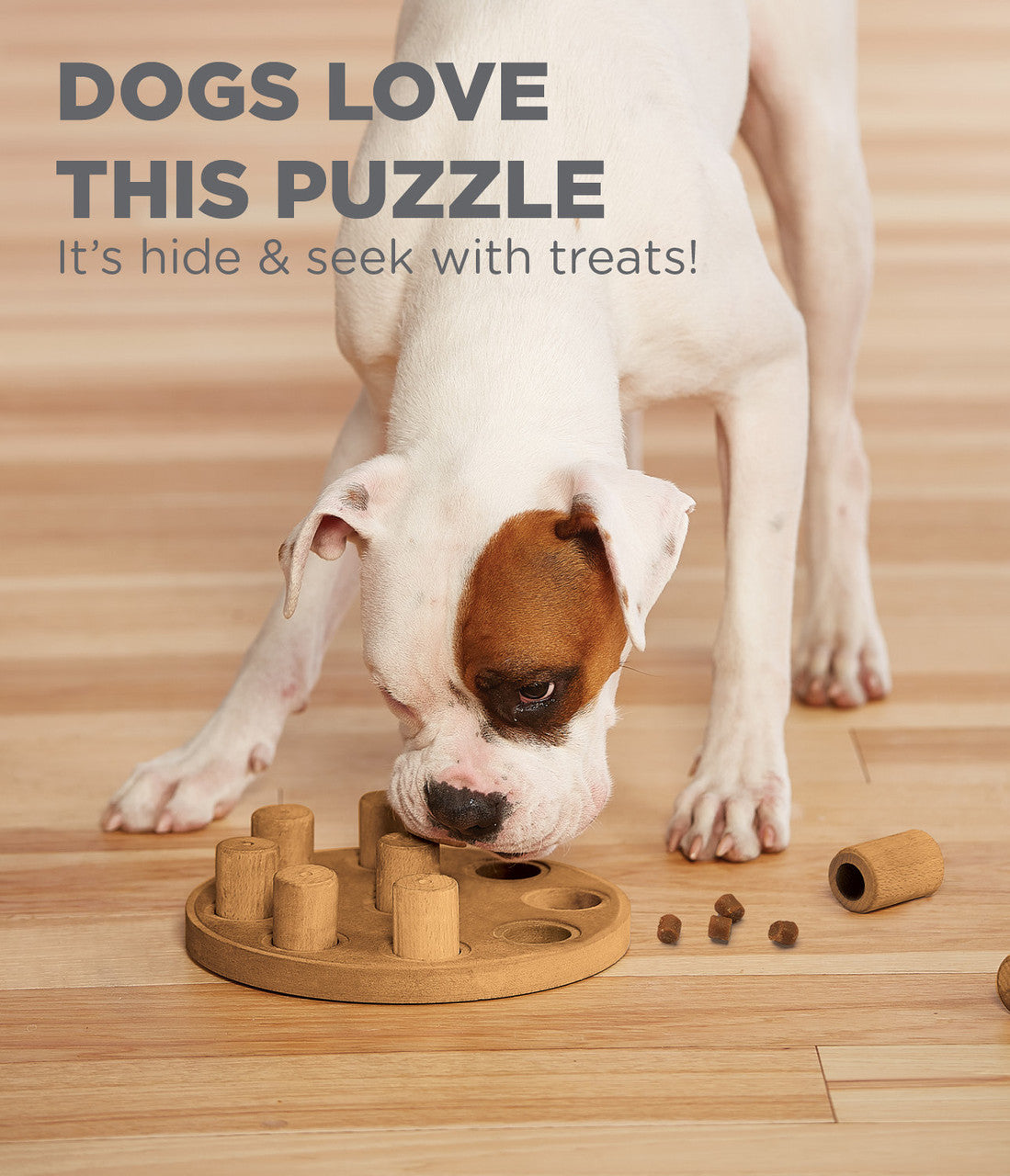 NINA OTTOSSON SMART COMPOSITE PUZZLE DOG TOY