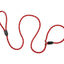 RC PETS ROPE SLIP LEASH