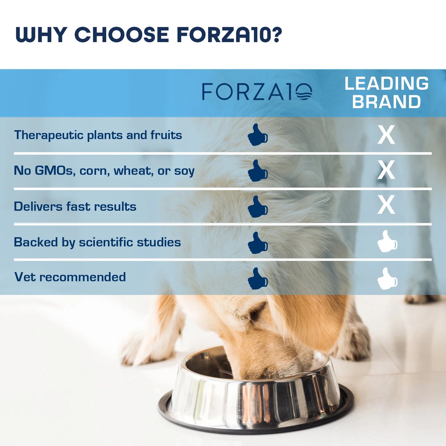 FORZA10 NUTRACEUTIC LEGEND : DIGESTION DRY DOG FOOD