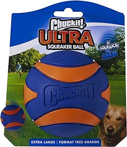 CHUCK IT!  ULTRA SQUEAKER BALL