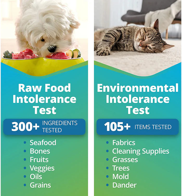 PET RAW FOOD & ENVIRONMENTAL INTOLERANCE TESTING KIT