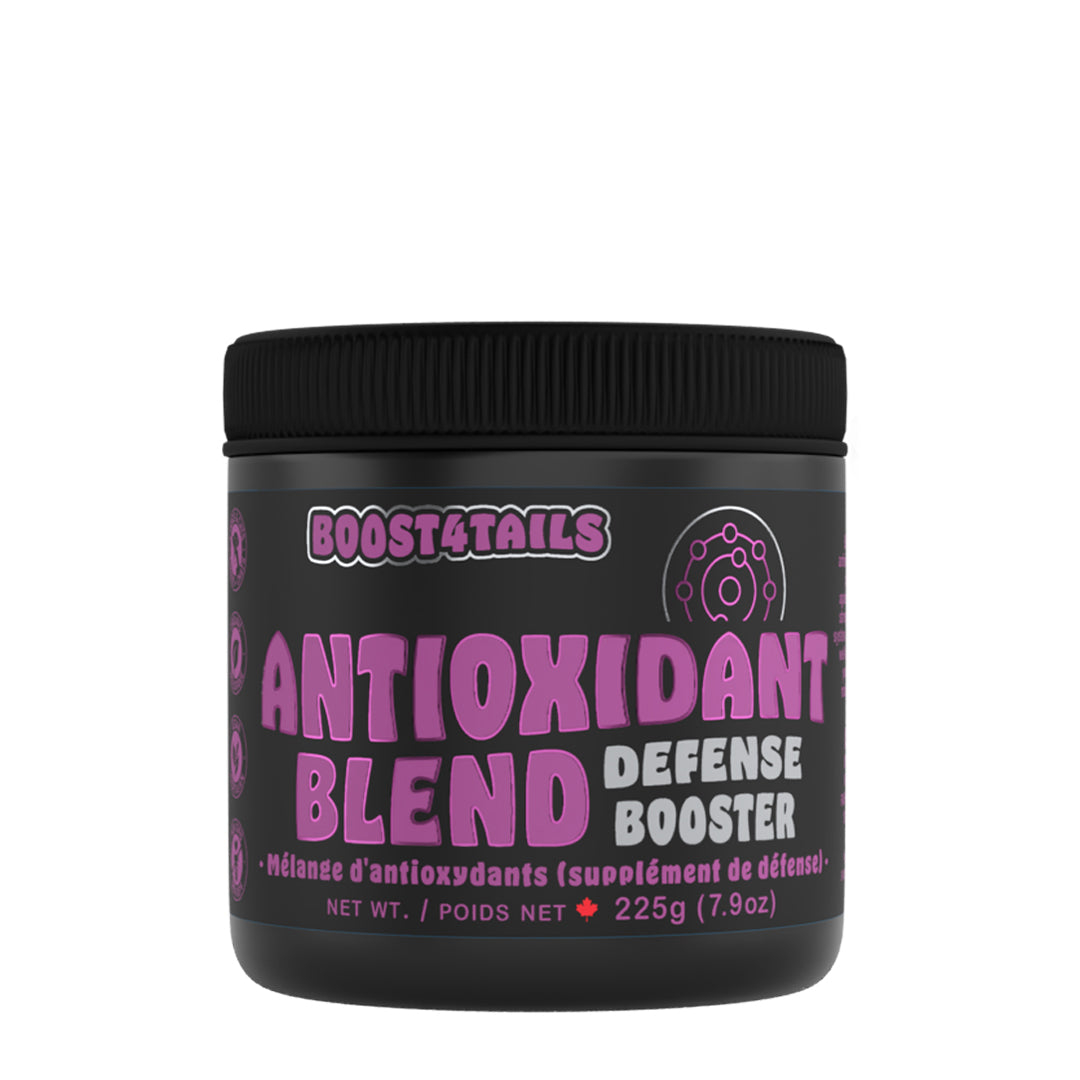 BOOST 4 TAILS : ANTIOXIDANT BLEND