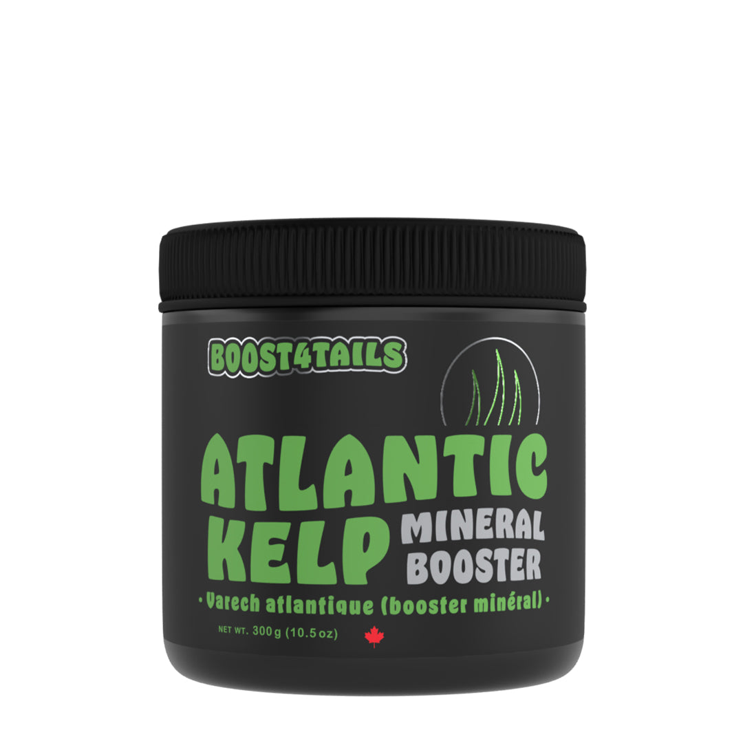 BOOST 4 TAILS : ATLANTIC KELP