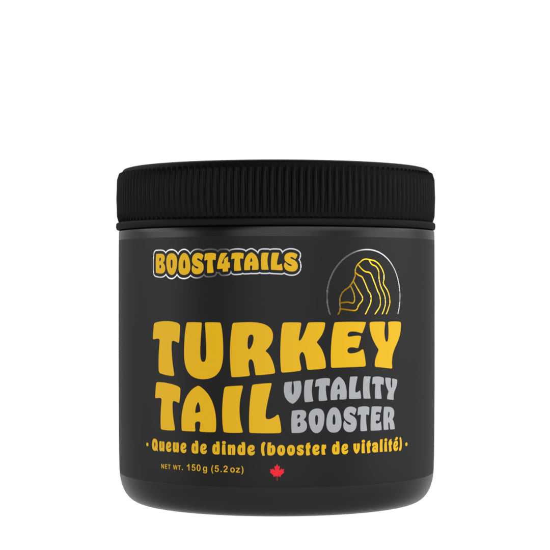 BOOST 4 TAILS : TURKEY TAIL MUSHROOM 150GM