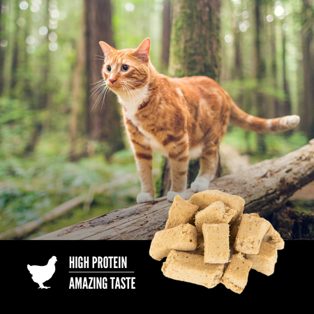 ORIJEN FREEZE-DRIED CAT TREATS - SIX FISH RECIPE