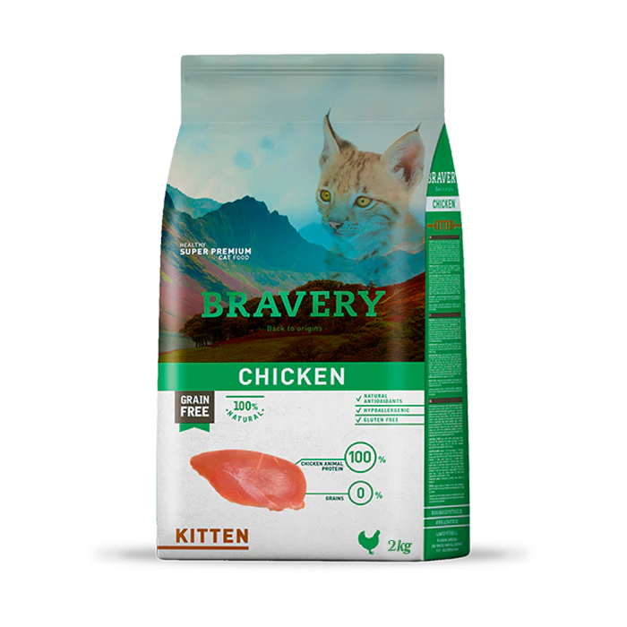 BRAVERY CHICKEN - KITTEN