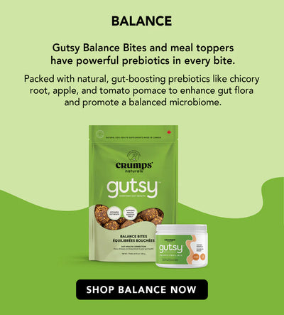 CRUMPS GUTSY BALANCE BITES DOG TREATS