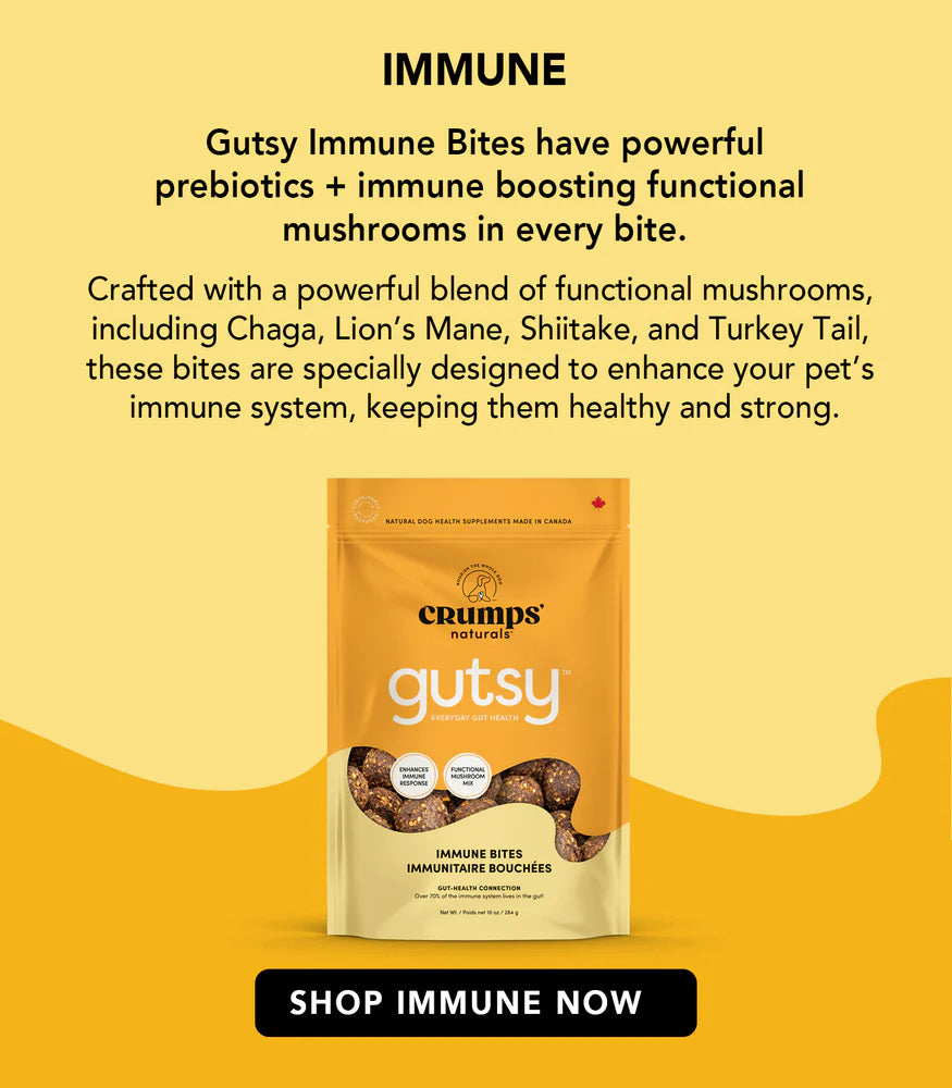 CRUMPS GUTSY IMMUNE BITES DOG TREATS