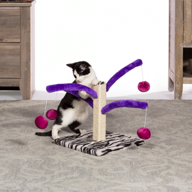 Prevue Hendryx™ Bounce and Spring Cat Scratcher Post