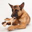 BETTERBONE DURABILLITY CHEW TOY : MEDIUM DENSITY CHEW TOY FOR EVERYDAY CHEWERS