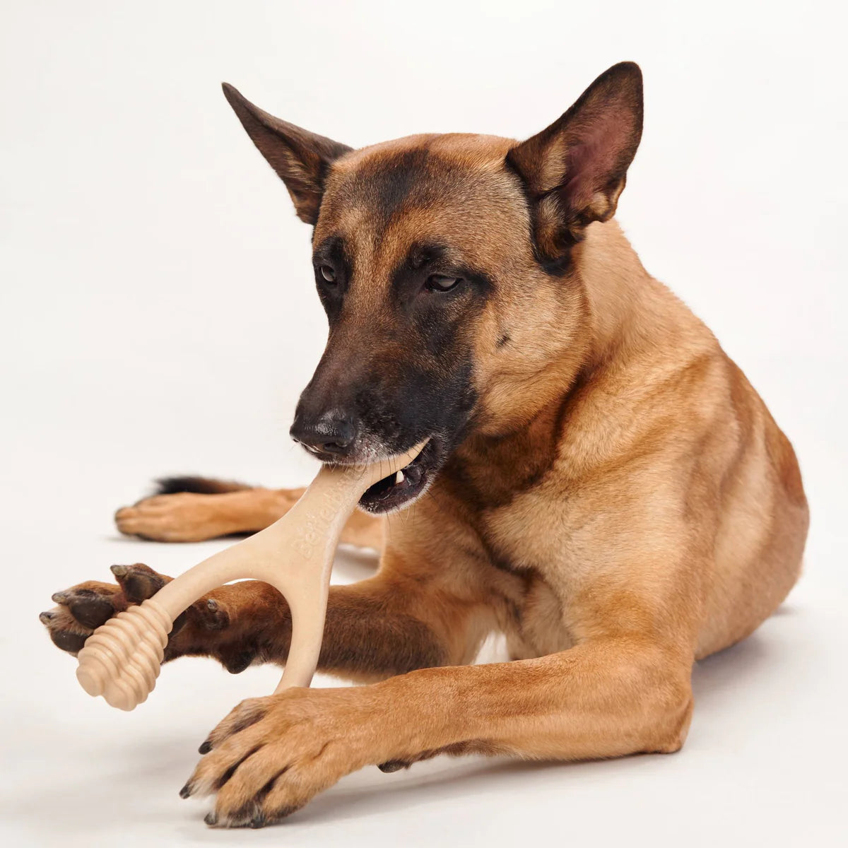 BETTERBONE DURABILLITY CHEW TOY : MEDIUM DENSITY CHEW TOY FOR EVERYDAY CHEWERS
