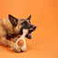 BETTERBONE DURABILLITY CHEW TOY : HARD DENSITY SUPER DURABLE CHEW TOY FOR STRONG & AFRESSIVE CHEWERS