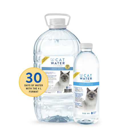 VET WATER PH BALANCED CAT WATER 4L