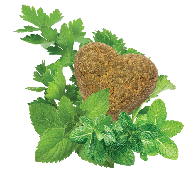 DARFORD GRAIN-FREE BREATH BEATERS DOG TREATS
