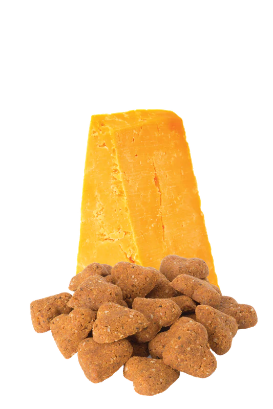 DARFORD GRAIN-FREE CHEDDAR CHEESE DOG TREATS