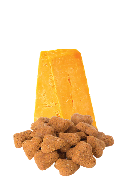DARFORD GRAIN-FREE CHEDDAR CHEESE DOG TREATS