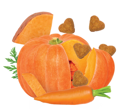 DARFORD GRAIN-FREE PUMPKIN & VEGETABLES RECIPE DOG TREATS