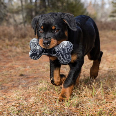 KONG MAXX BONE DOG TOY