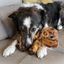 KONG LOW STRIPES COW MEDIUM DOG TOY