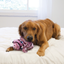 KONG LOW STRIPES PIG MEDIUM DOG TOY