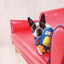 KONG DODO BIRD DOG TOY ASSORTED