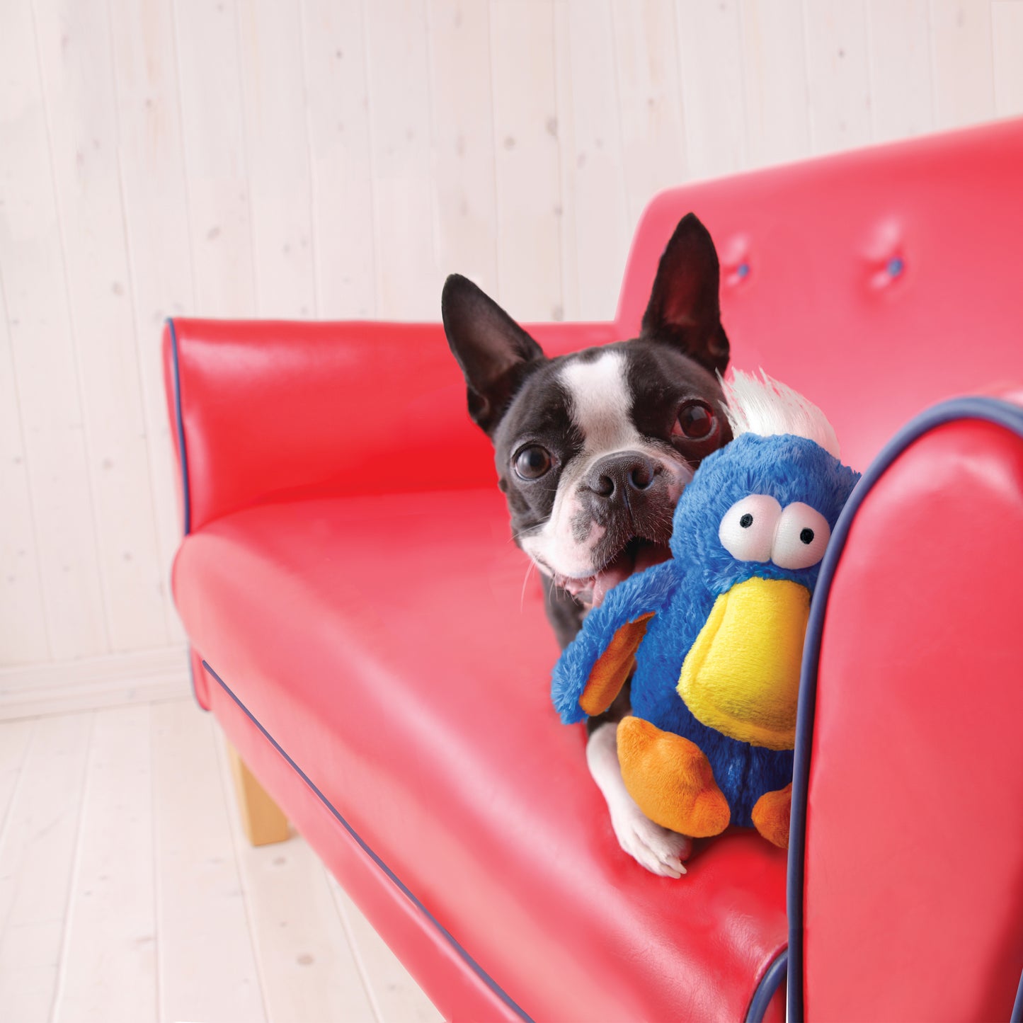 KONG DODO BIRD DOG TOY ASSORTED