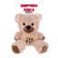 KONG WILD KNOTS TEDDY DOG TOY ASSORTED COLOURS