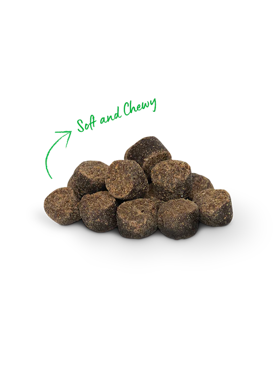 OPEN FARM® BE GOOD BITES GRASS - FED BEEF DOG TREATS