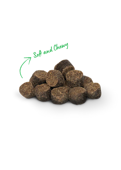 OPEN FARM® BE GOOD BITES GRASS - FED BEEF DOG TREATS