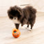 KONG TIPSY REWARDS TREAT DISPENSER DOG TOY