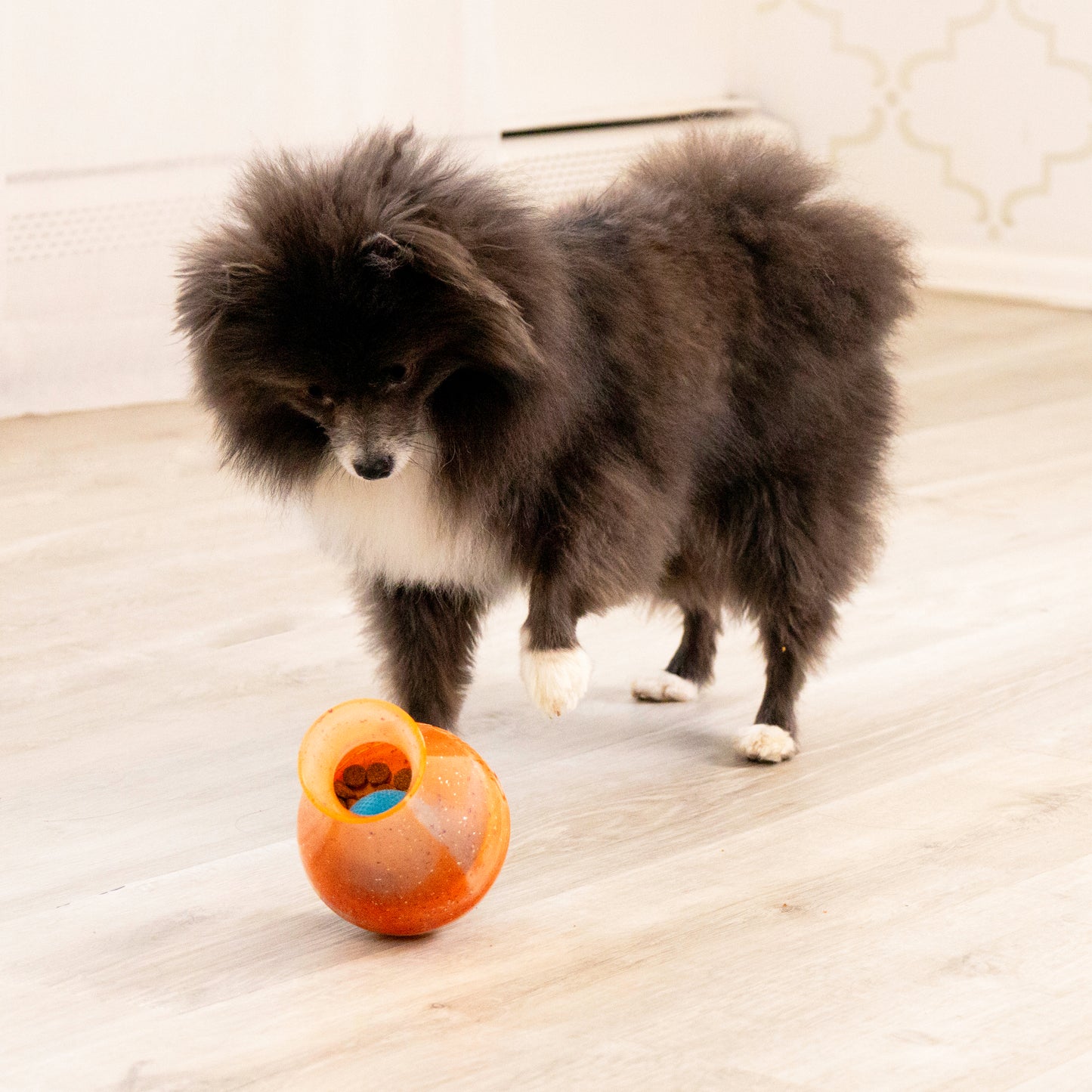 KONG TIPSY REWARDS TREAT DISPENSER DOG TOY