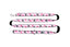 RC PETS DOG LEASH