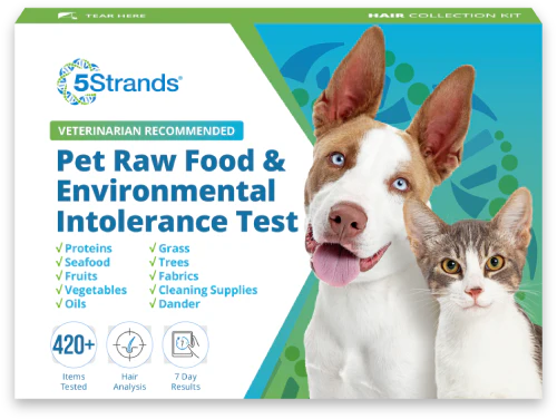 PET RAW FOOD & ENVIRONMENTAL INTOLERANCE TESTING KIT