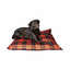 RUFF LOVE BUFFALO PLAID CLOUD PILLOW