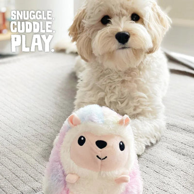 SNUGAROOZ  WILLOW THE HEDGEHOG DOG