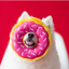 ZIPPY PAWS DONUTZ DOG TOY - STRAWBERRY