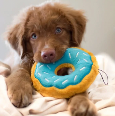 ZIPPY PAWS DONUTZ DOG TOY - BLUEBERRY