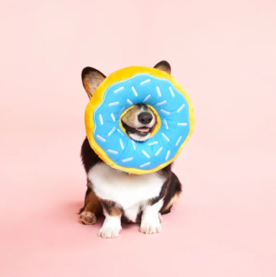 ZIPPY PAWS JUMBO DONUTZ DOG TOY - BLUEBERRY