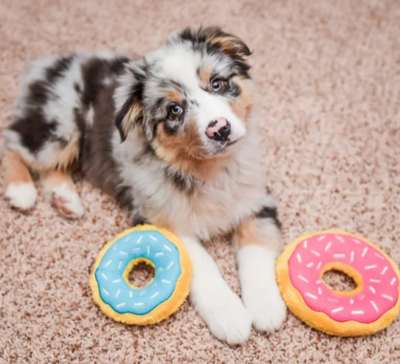 ZIPPY PAWS MINI DONUTZ DOG TOY - BLUEBERRY