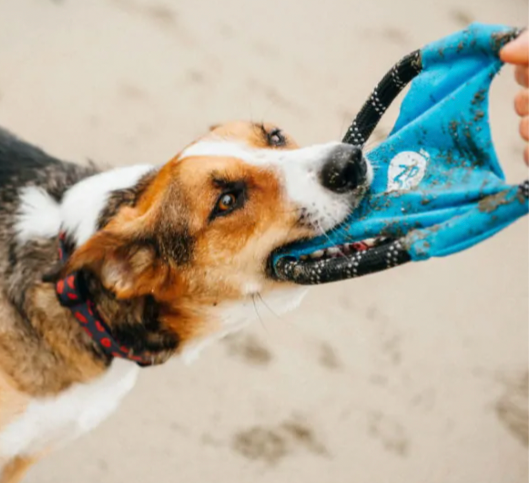 ZIPPY PAWS ROPE GLIDERZ DOG TOY