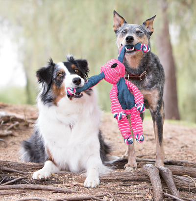 KONG FLOPPY KNOTS BUNNY DOG TOY