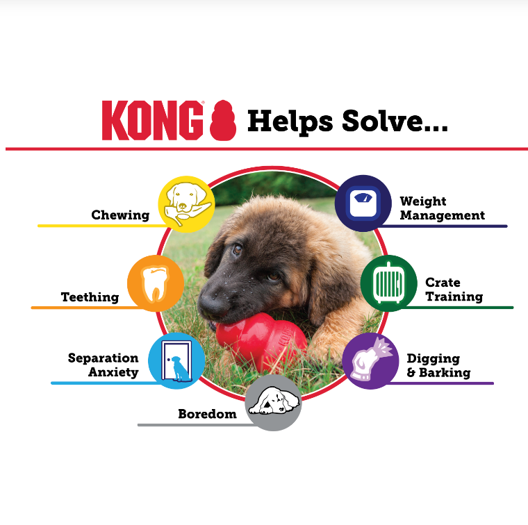 KONG CLASSIC RED DOG TOY