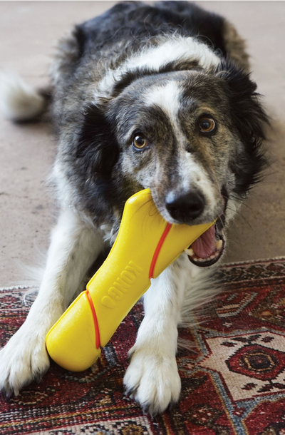 KONG SQUEEZE STICK DOG TOY