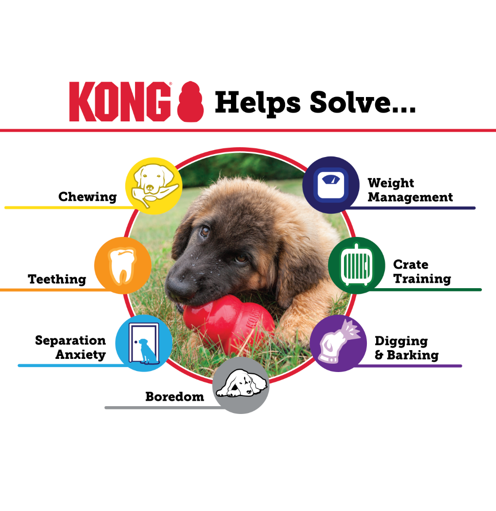 KONG CLASSIC DOG TOY