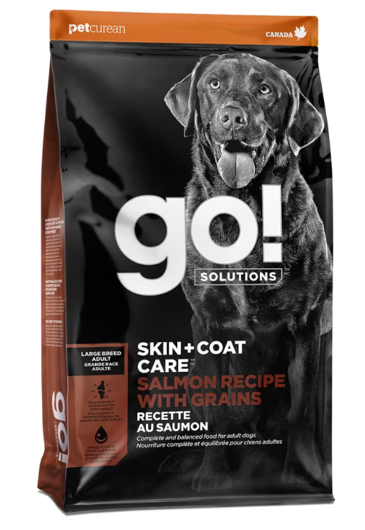 GO! SOLUTIONS SKIN + COAT CARE LARGE BREED SALMON WITH GRAINS ADULT RECIPE DOG FOOD